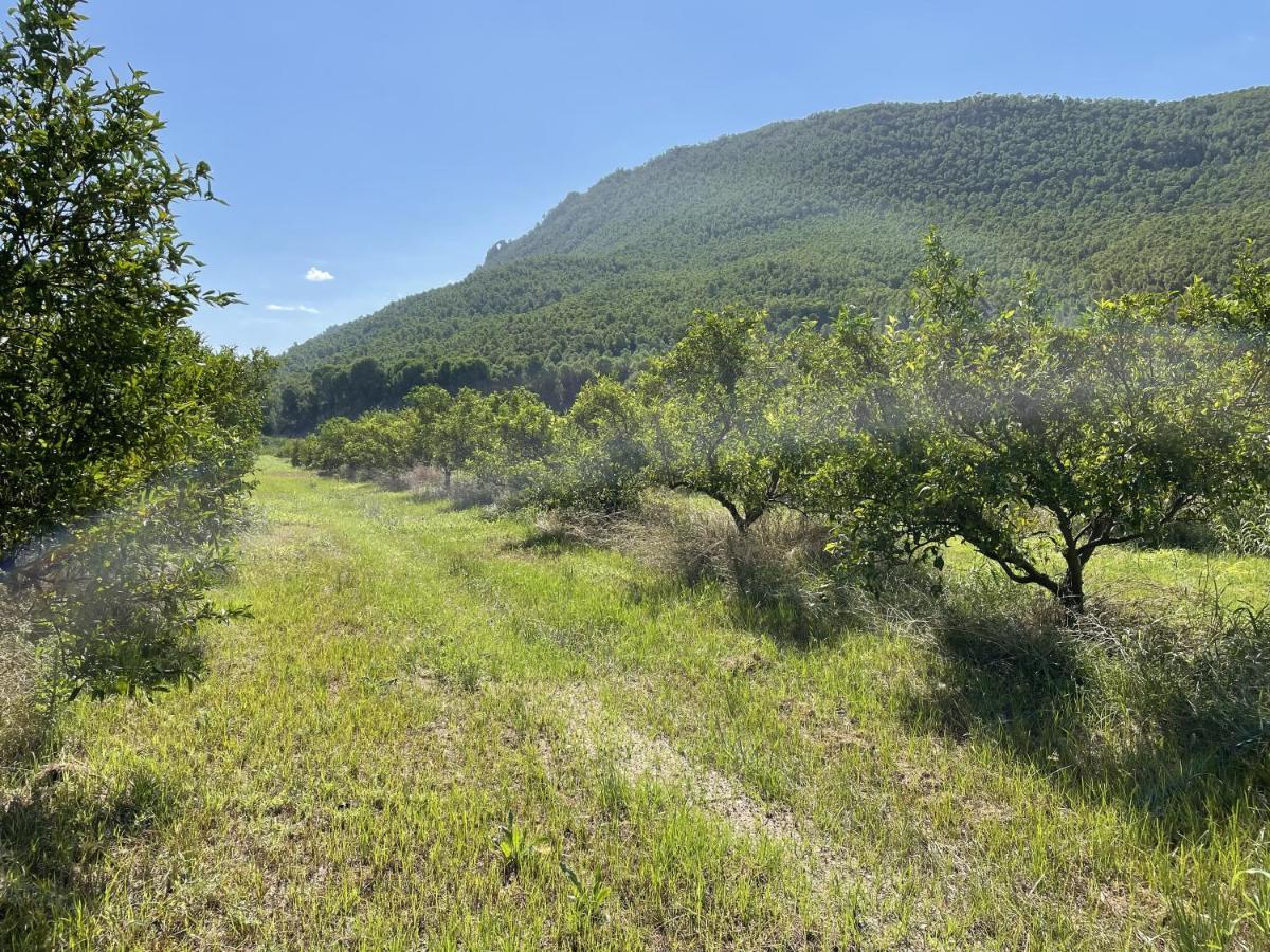 Casa Ramoncico. Finca El Campillo بلانكا المظهر الخارجي الصورة