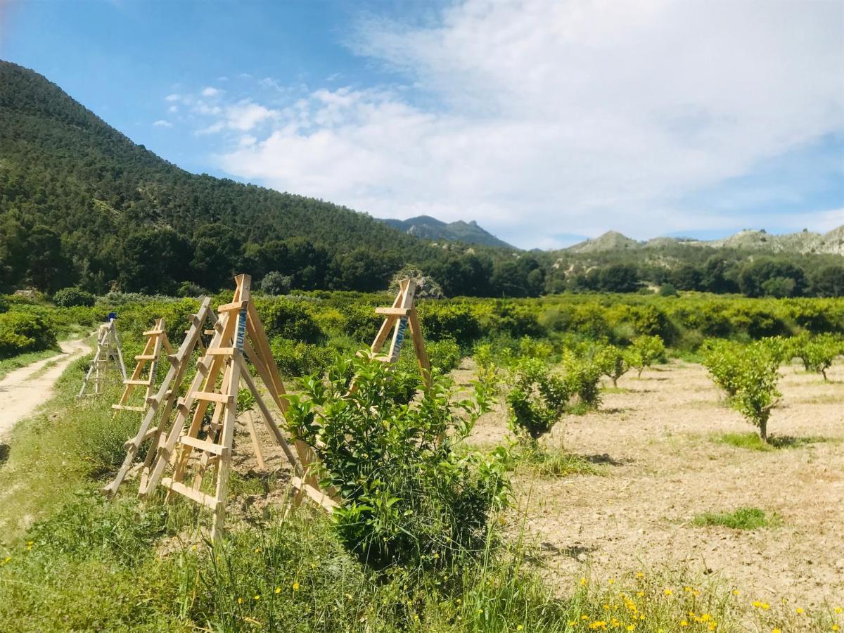 Casa Ramoncico. Finca El Campillo بلانكا المظهر الخارجي الصورة