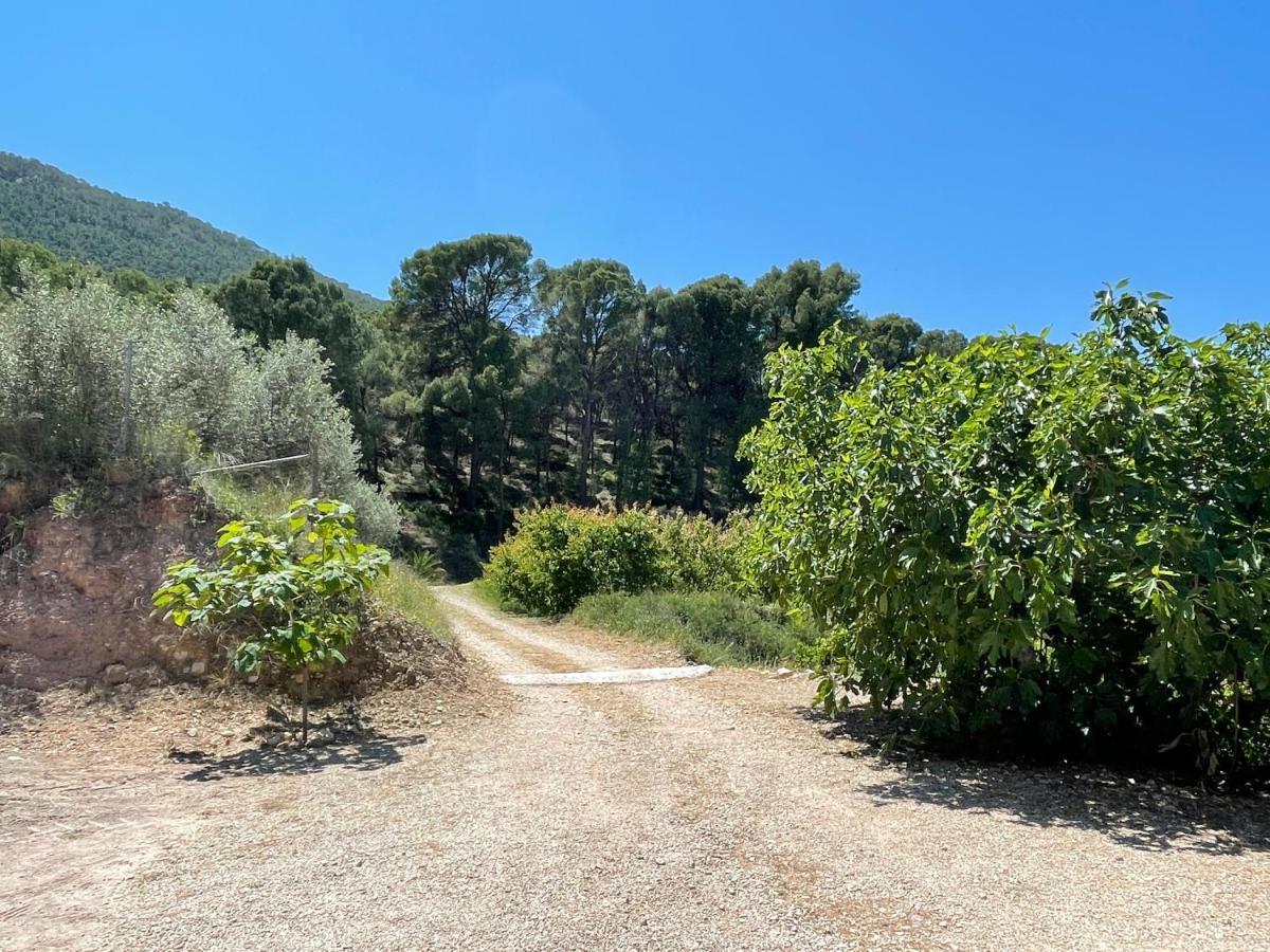 Casa Ramoncico. Finca El Campillo بلانكا المظهر الخارجي الصورة