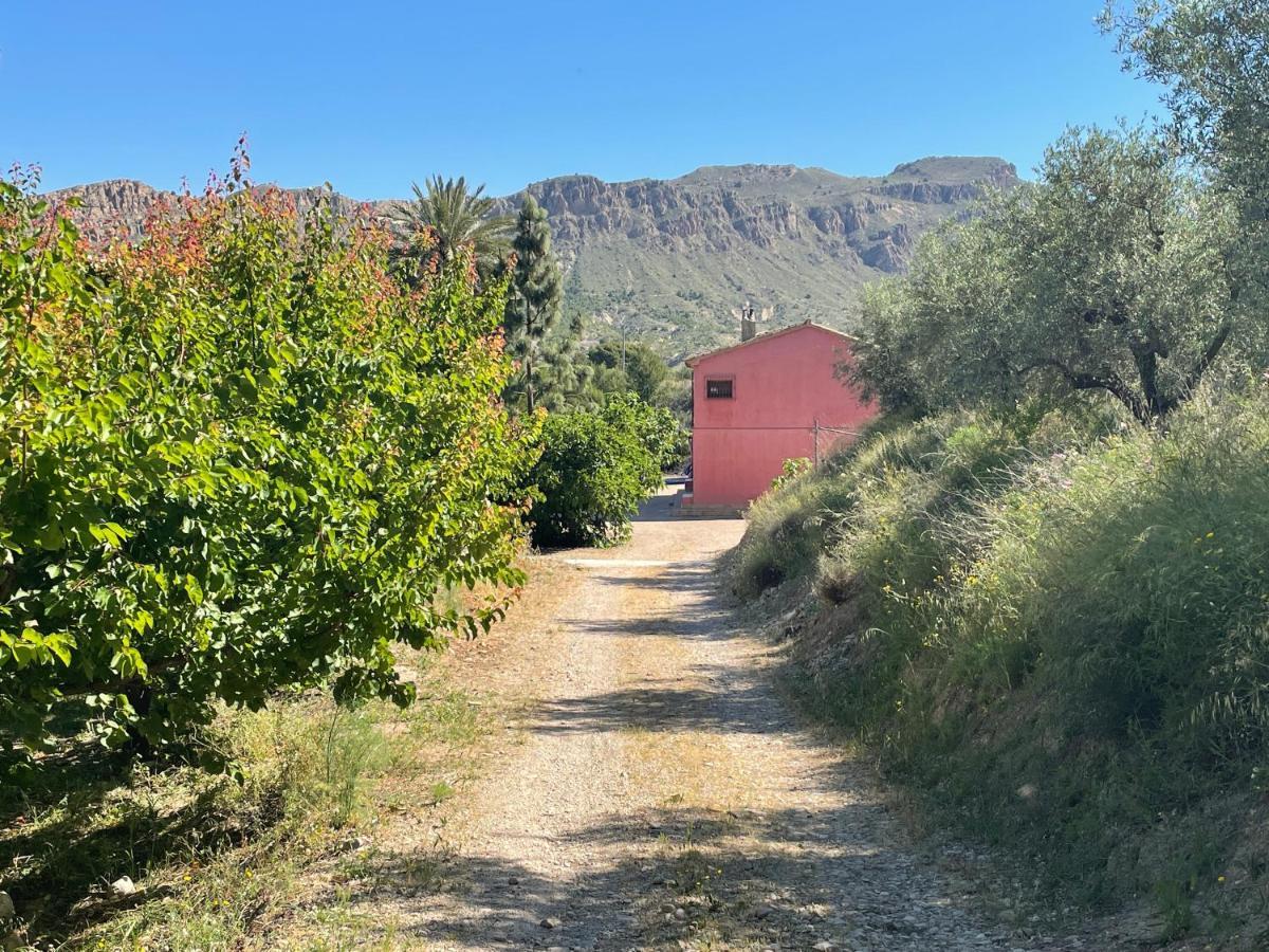 Casa Ramoncico. Finca El Campillo بلانكا المظهر الخارجي الصورة