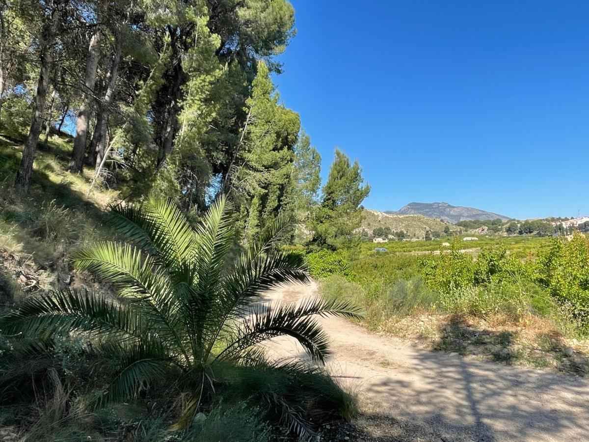 Casa Ramoncico. Finca El Campillo بلانكا المظهر الخارجي الصورة